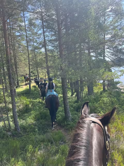Gårdshytta